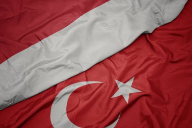 türkiye ve endonezya ulusal bayrağı renkli bayrak sallayarak.