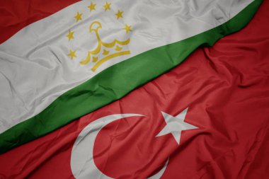 tacikistan türkiye ve ulusal bayrak renkli bayrak sallayarak.