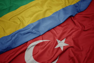 türkiye ve gabon ulusal bayrağı renkli bayrak sallayarak.