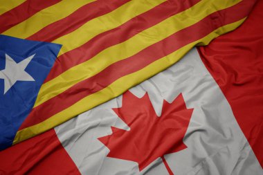kanada ve katalonya ulusal bayrağı renkli bayrak sallayarak.