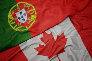 kanada ve portekiz ulusal bayrağı renkli bayrak sallayarak.