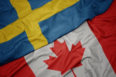 kanada ve İsveç ulusal bayrağı renkli bayrak sallayarak.