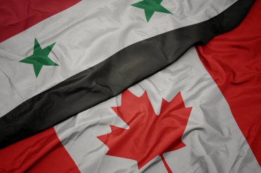 kanada ve suriye ulusal bayrağı renkli bayrak sallayarak.