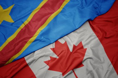 kanada renkli bayrak ve kongo demokratik cumhuriyetiulusal bayrak sallayarak.