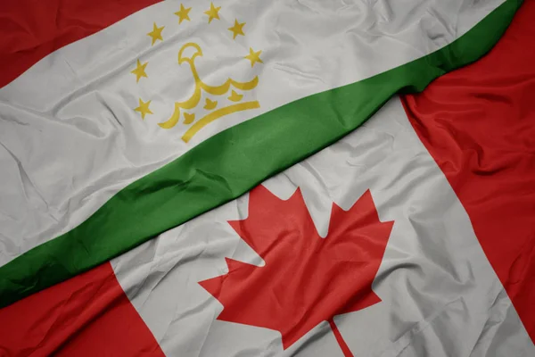 カナダのカラフルな旗とタジキスタンの国旗を振る. — ストック写真