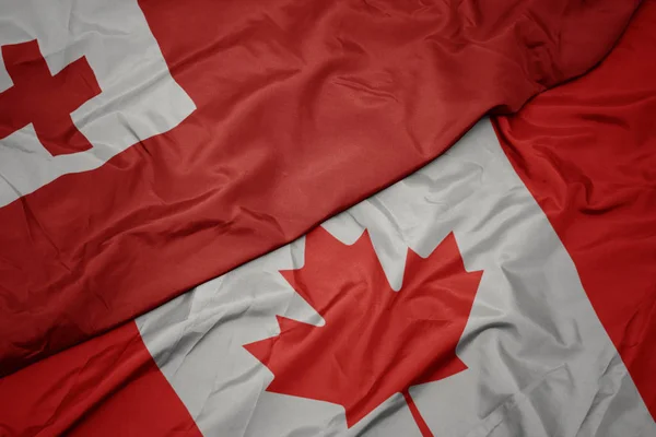 挥舞着五颜六色的加拿大国旗和汤加国旗. — 图库照片