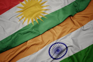 hindistan ve kürdistan ulusal bayrağı renkli bayrak sallayarak.