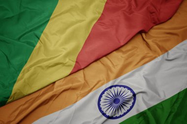 Hindistan ve Kongo Cumhuriyeti ulusal bayrağı renkli bayrak sallayarak.
