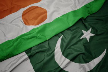 pakistan renkli bayrak ve nijer ulusal bayrağı sallayarak.
