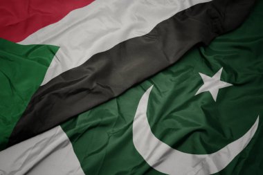 pakistan ve sudan ulusal bayrağı renkli bayrak sallayarak.