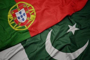 pakistan ve portekiz ulusal bayrağı renkli bayrak sallayarak.