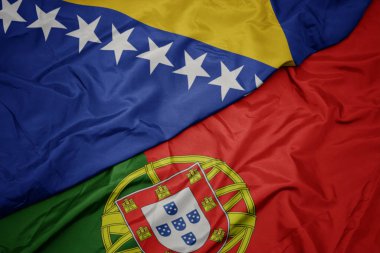 portekiz renkli bayrak ve bosna-hersek ulusal bayrağı sallayarak.