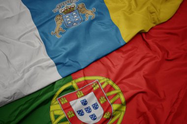 portekiz ve kanarya adalarının ulusal bayrak renkli bayrak sallayarak.