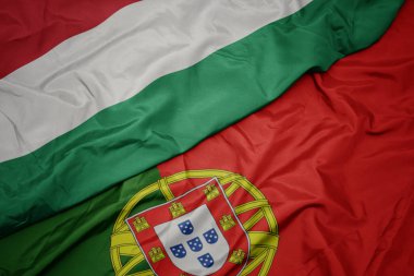 portekiz ve macaristan ulusal bayrağı renkli bayrak sallayarak.