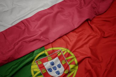 portekiz ve polonya ulusal bayrağı renkli bayrak sallayarak.