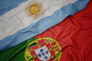 portekiz ve arjantin ulusal bayrağı renkli bayrak sallayarak.