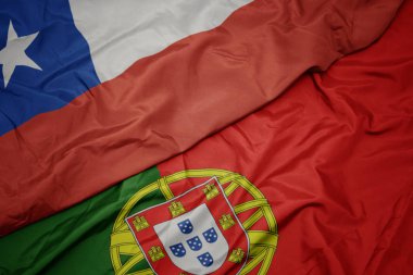 portekiz ve şili ulusal bayrağı renkli bayrak sallayarak.