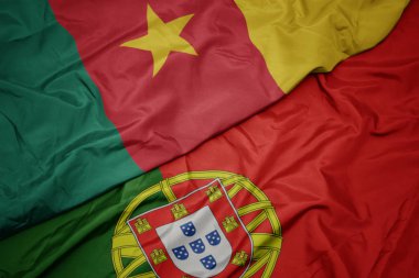 portekiz ve kamerun ulusal bayrağı renkli bayrak sallayarak.