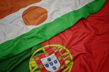 portekiz renkli bayrak ve nijer ulusal bayrağı sallayarak.