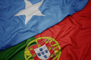 portekiz ve somali ulusal bayrağı renkli bayrak sallayarak.
