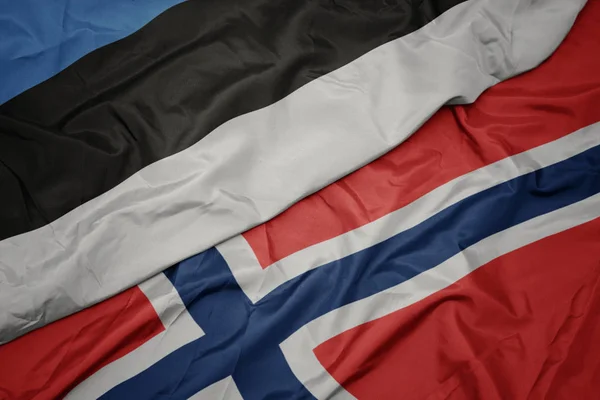 Zwaaiende kleurrijke vlag van Noorwegen en de nationale vlag van Estland. — Stockfoto