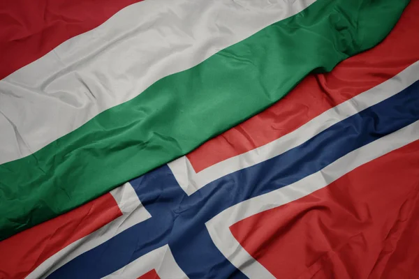 Agitant drapeau coloré du nord et drapeau national de la Hongrie . — Photo