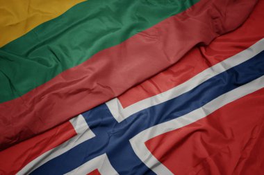 norveç ve litvanya ulusal bayrağı renkli bayrak sallayarak.