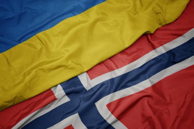 norveç ve Ukrayna ulusal bayrağı renkli bayrak sallayarak.