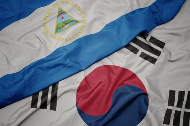 güney kore ve nikaragua ulusal bayrağı renkli bayrak sallayarak.