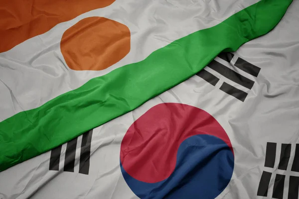 Розмахуючи барвистий Прапор Південної Кореї і державного прапора Нігер. — стокове фото