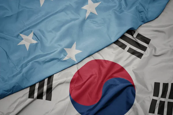 Розмахуючи барвистий Прапор Південної Кореї і державного прапора Федеративні Штати Мікронезії ,. — стокове фото