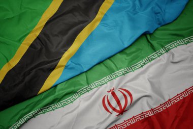 İran ve tanzanya ulusal bayrağı renkli bayrak sallayarak.