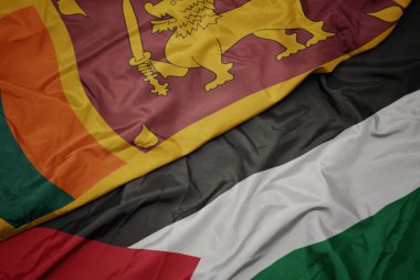 filistin ve sri lanka ulusal bayrağı renkli bayrak sallayarak.