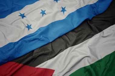filistin ve honduras ulusal bayrağı renkli bayrak sallayarak.