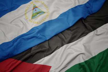 filistin ve nikaragua ulusal bayrağı renkli bayrak sallayarak.