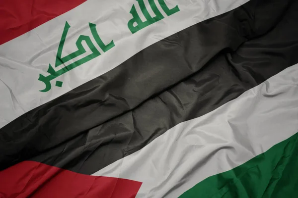 waving colorful flag of palestine and national flag of iraq.