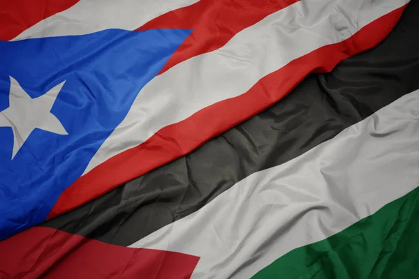 waving colorful flag of palestine and national flag of puerto rico.