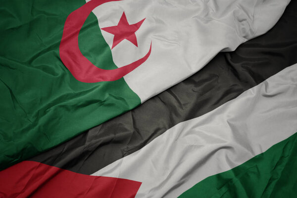 waving colorful flag of palestine and national flag of algeria.