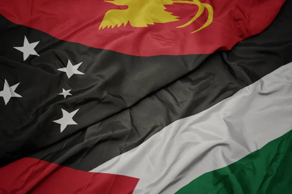 waving colorful flag of palestine and national flag of Papua New Guinea .