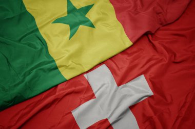 İsviçre ve senegal ulusal bayrağı renkli bayrak sallayarak.
