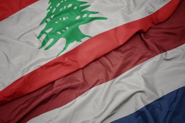 Hollanda ve Lübnan ulusal bayrağı renkli bayrak sallayarak.