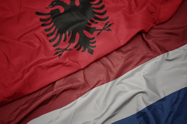Hollanda ve arnavutluk ulusal bayrağı renkli bayrak sallayarak. — Stok fotoğraf