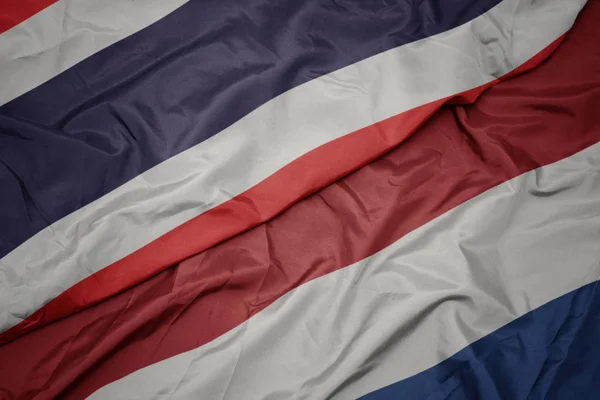Махаючи барвистим прапором нідерландів і національним прапором Таїланду . — стокове фото