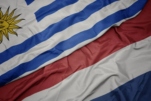 네덜란드의 화려한 국기와 우루과이의 국기를 흔들어. — 스톡 사진
