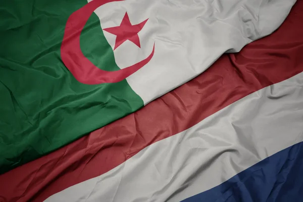 Mávající barvitá vlajka Nizozemska a národní vlajka Alžírska. — Stock fotografie