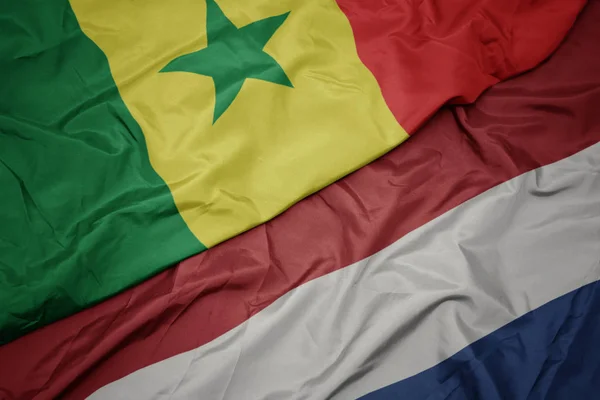 Mávající barvitá vlajka Nizozemska a národní vlajka Senegalu. — Stock fotografie