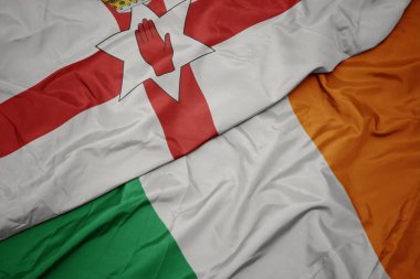 İrlanda renkli bayrak ve kuzey İrlanda ulusal bayrağı sallayarak.