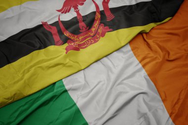İrlanda ve brunei ulusal bayrak renkli bayrak sallayarak.