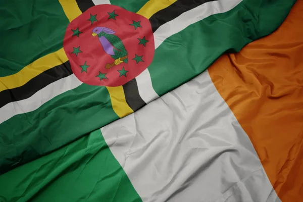 İrlanda ve dominika ulusal bayrağı renkli bayrak sallayarak. — Stok fotoğraf