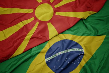 brezilya ve makedonya ulusal bayrağı renkli bayrak sallayarak.